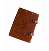 Miniso Harry Potter Diary – Multicolour Pages (Gryffindor)