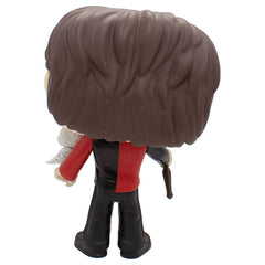 Harry Potter - Pop Vinyl 22cm Figure